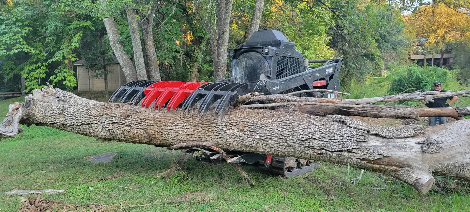 Forestry mulching crew's track loader moving a felled tree trunk with a grapple near Granbury, TX