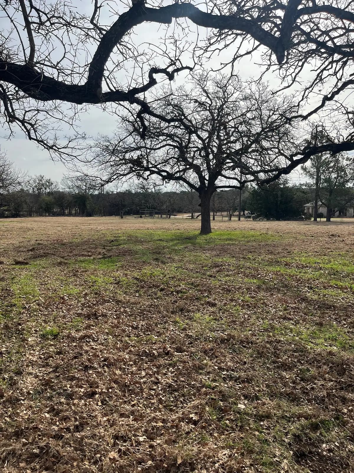 Brush hog mowing along a fence line on a Granbury, TX property
