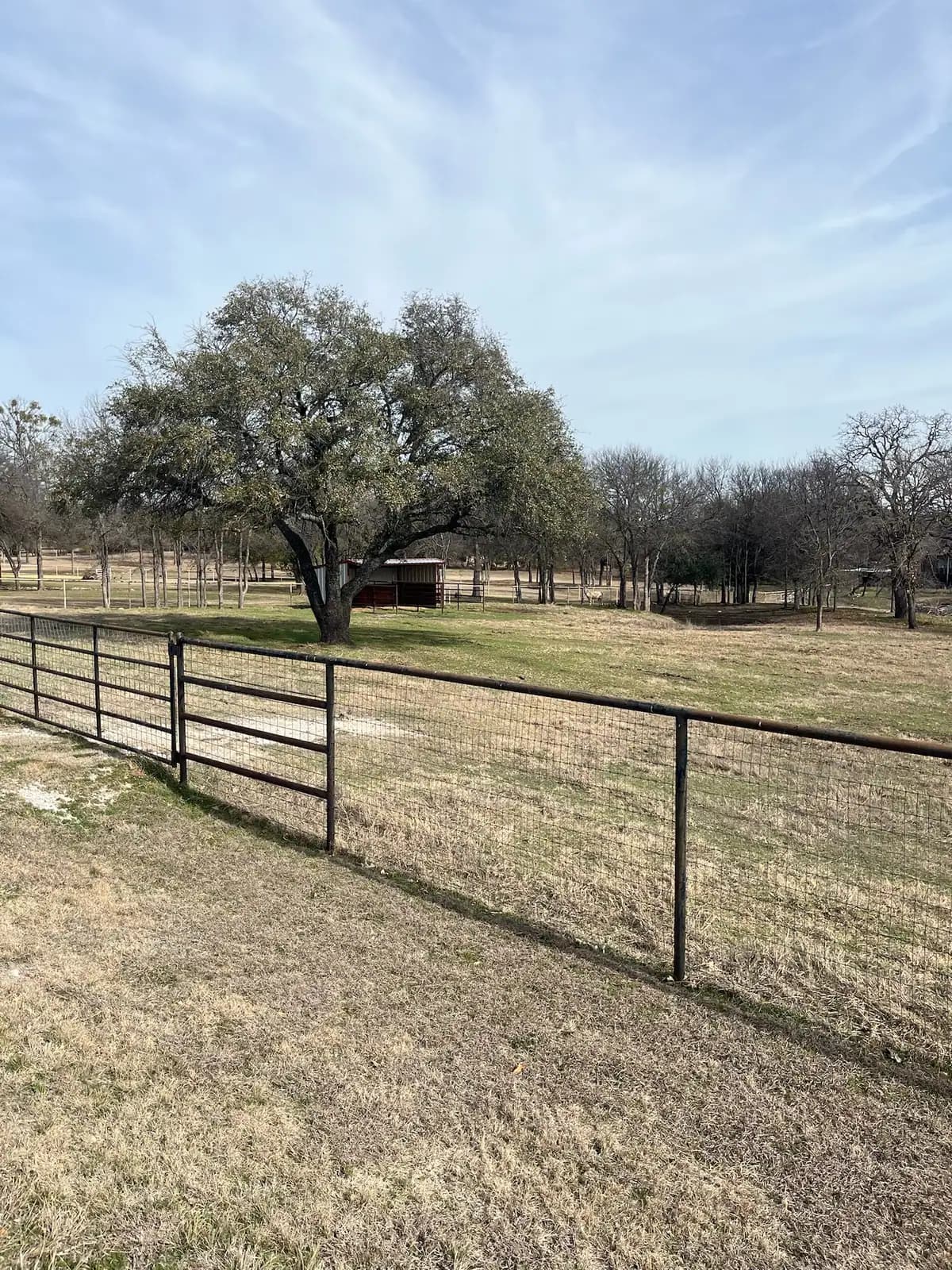 Brush hog mowing along a fence line on a Granbury, TX property