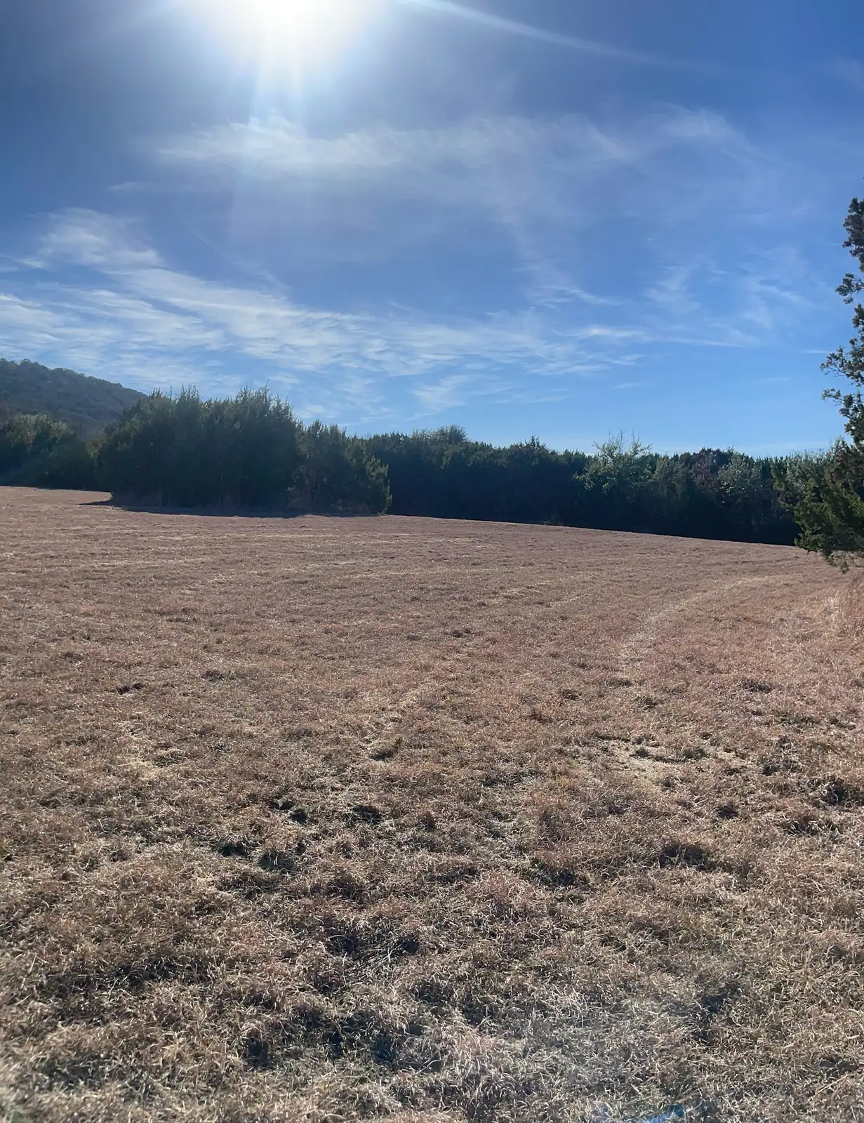 Brush hog mowing finished on an open pasture near Granbury, TX by Black Knuckle Land Management