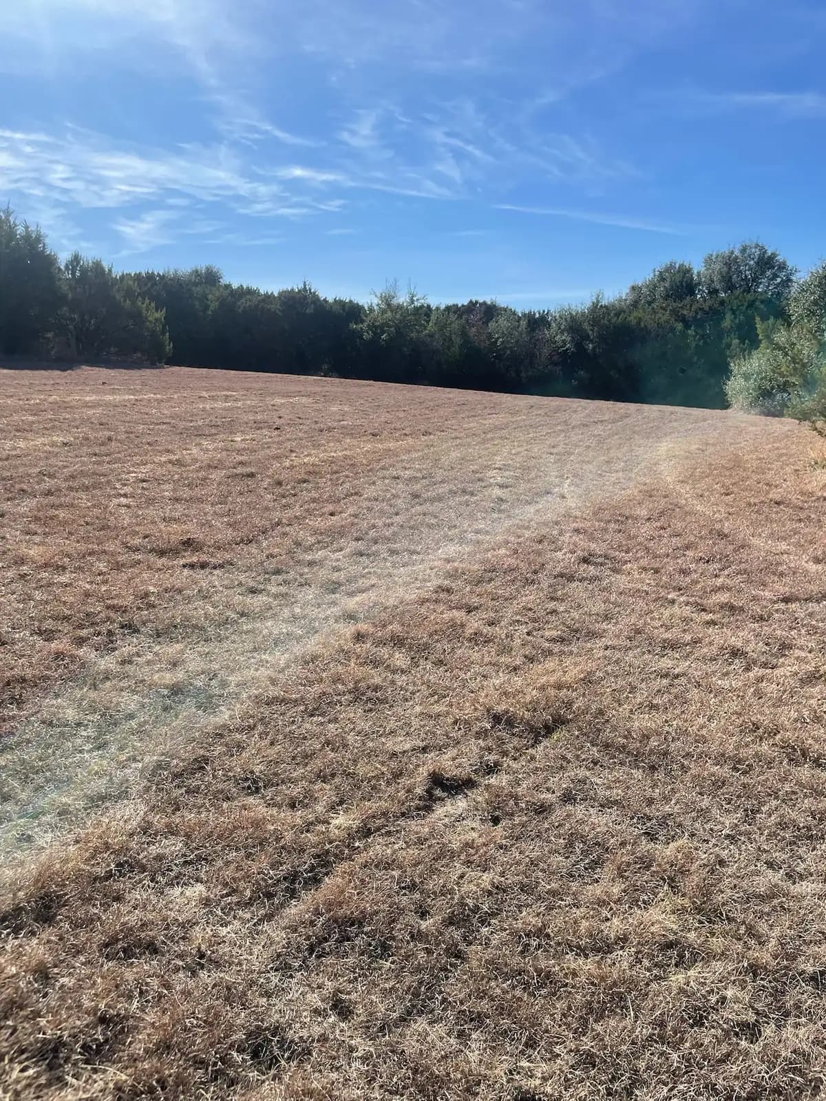 Brush hog mowing finished on an open pasture near Granbury, TX by Black Knuckle Land Management