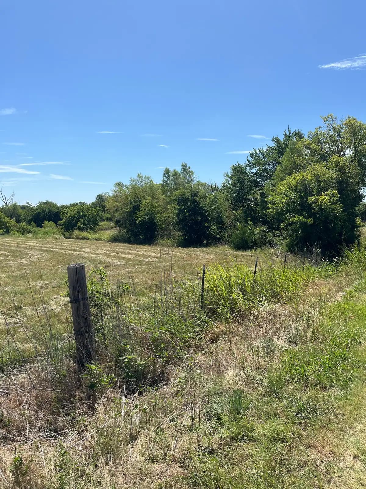 Summer pasture and fence line ready for brush hog mowing in Granbury, TX