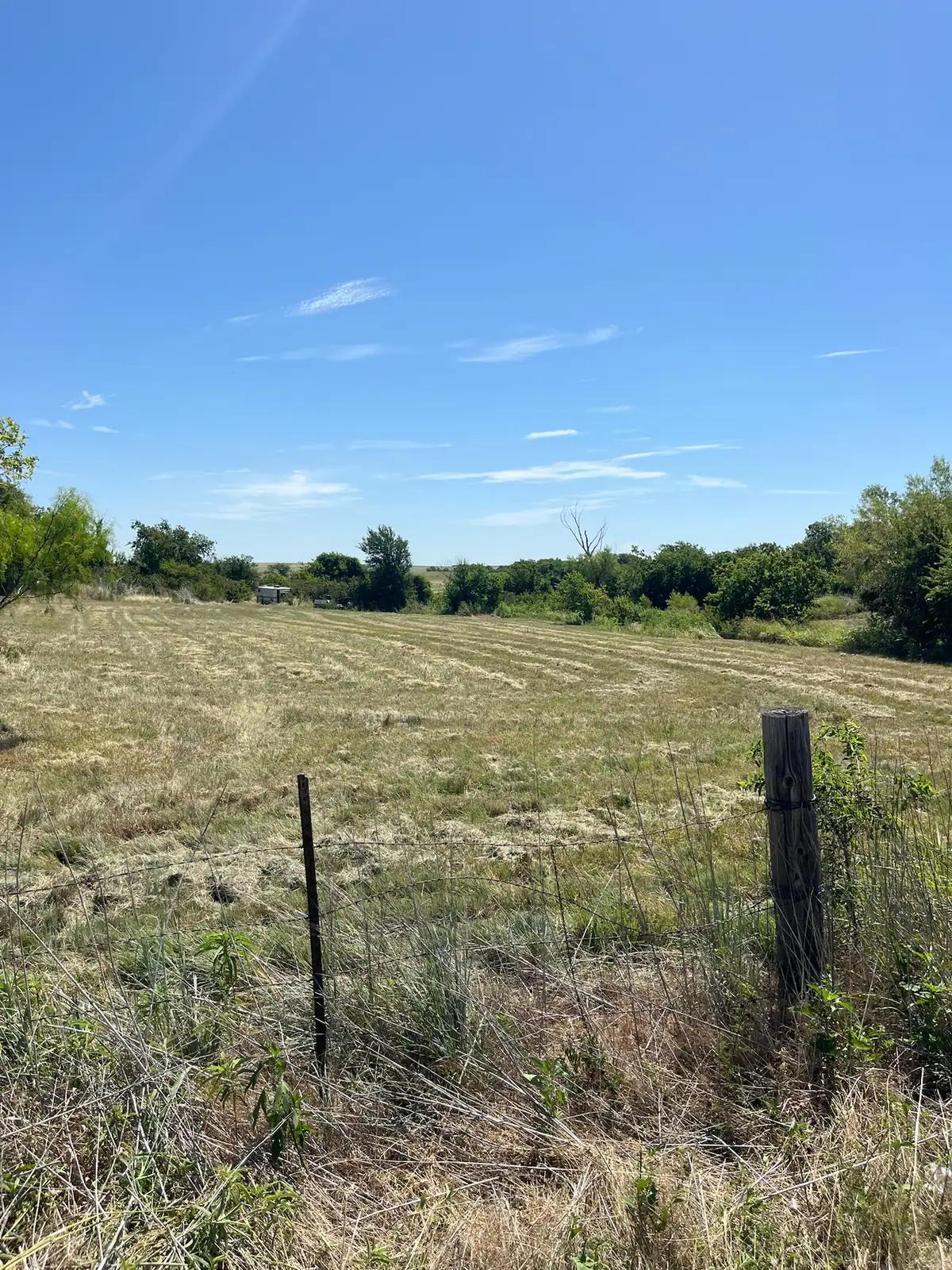 Summer pasture and fence line ready for brush hog mowing in Granbury, TX