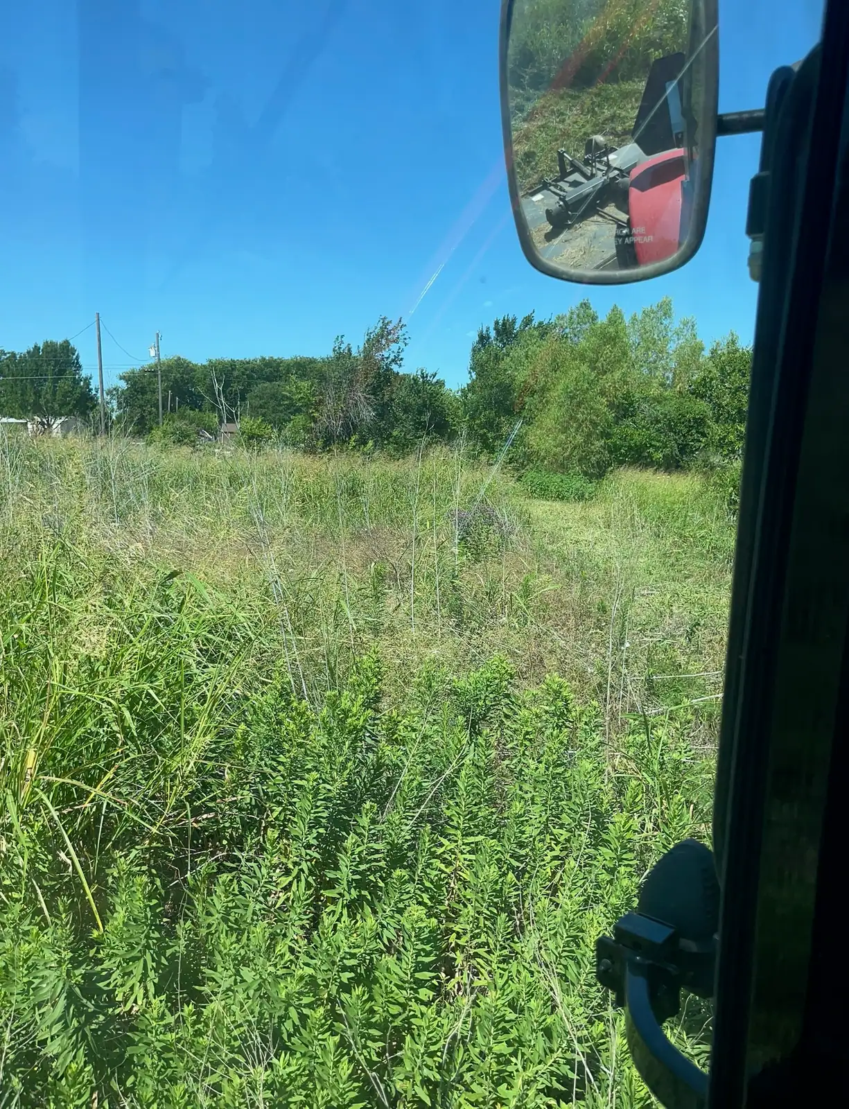 Tall summer grass and weeds before brush hog mowing, seen from the tractor near Granbury, TX