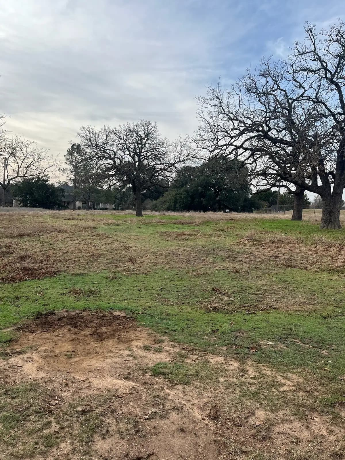 Brush hog mowing a pasture under mature oaks with a red tractor near Granbury, TX