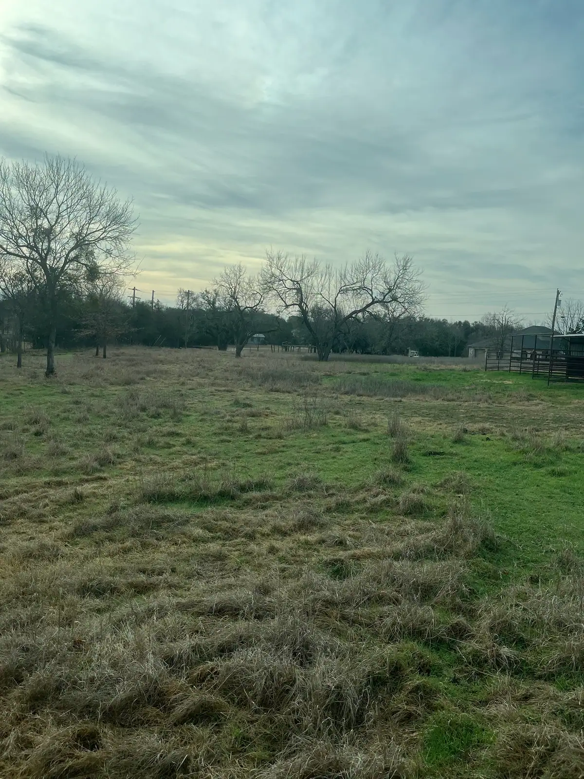 Brush hog mowing a pasture under mature oaks with a red tractor near Granbury, TX