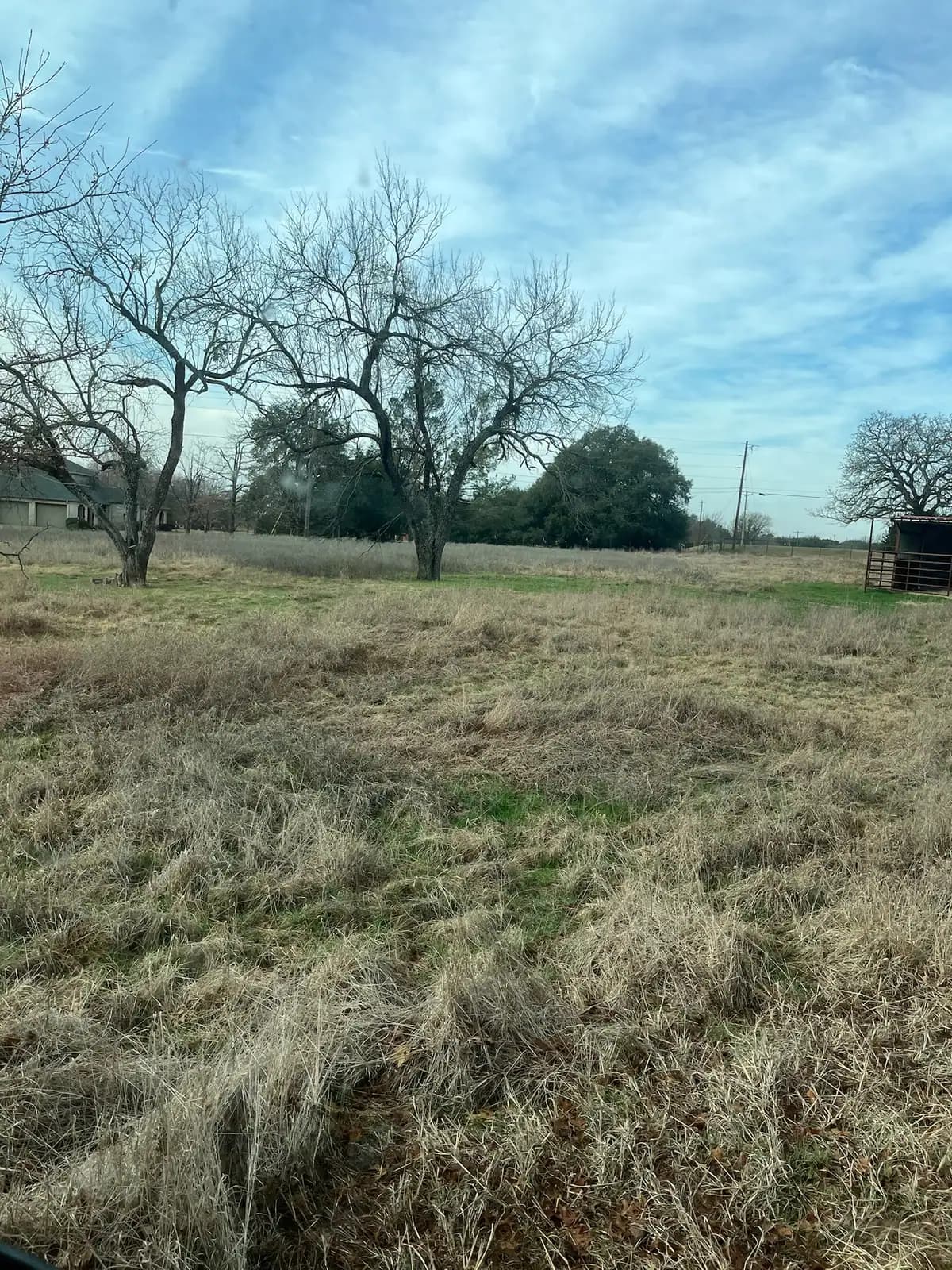 Brush hog mowing a pasture under mature oaks with a red tractor near Granbury, TX
