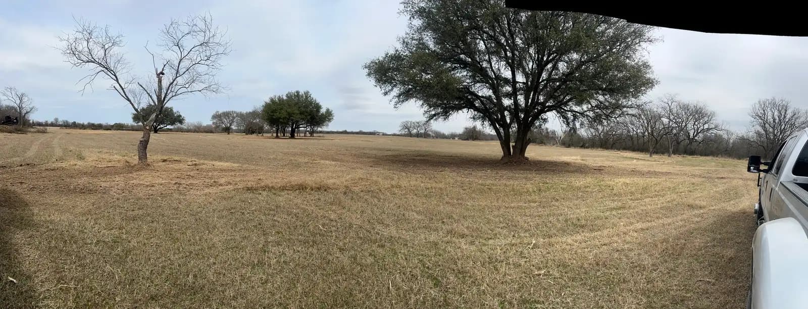 Wide pasture after brush hog mowing by Black Knuckle Land Management in Hood County, TX