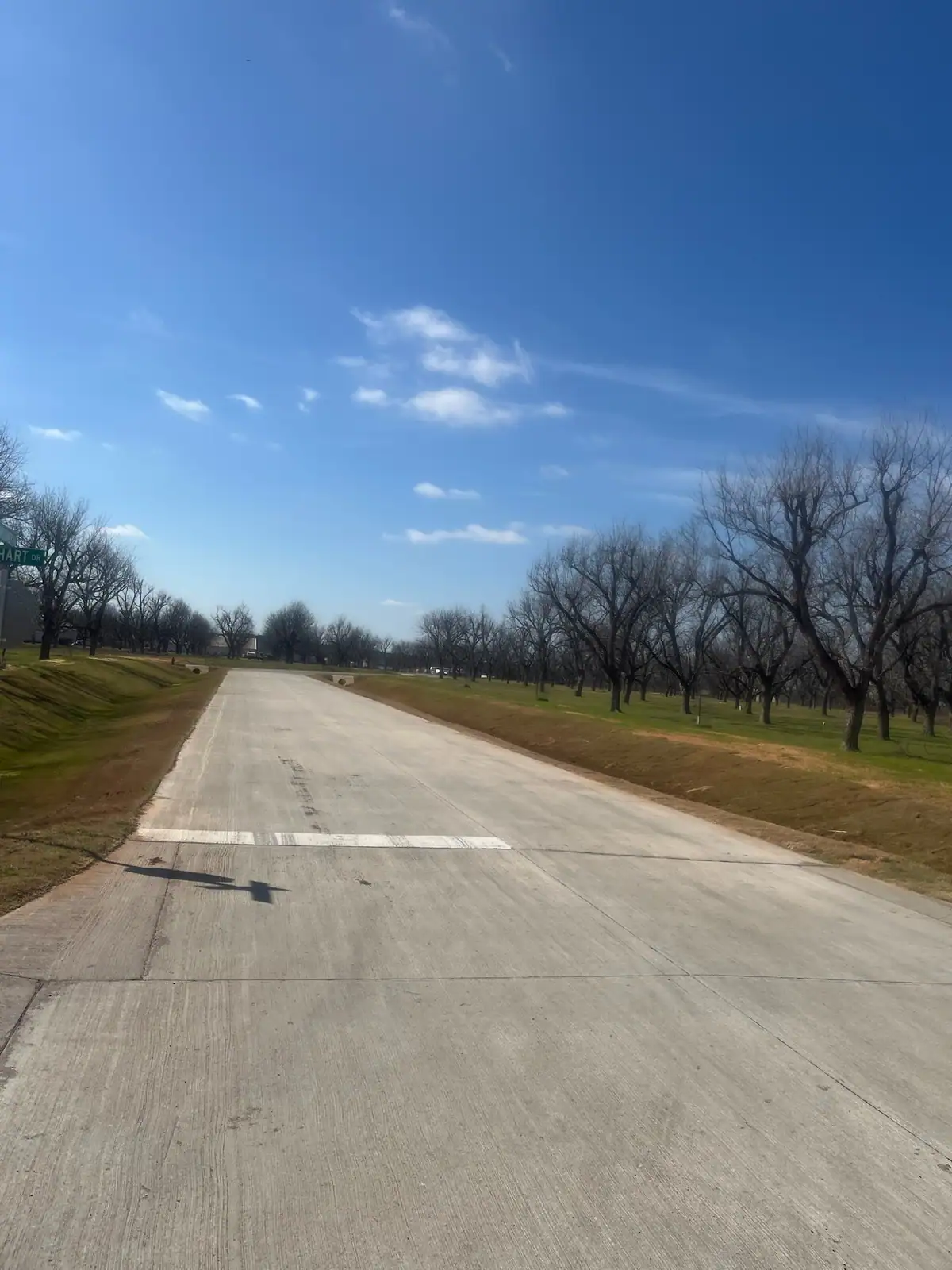 Driveway and road edge through a pecan orchard maintained by Black Knuckle Land Management near Granbury, TX