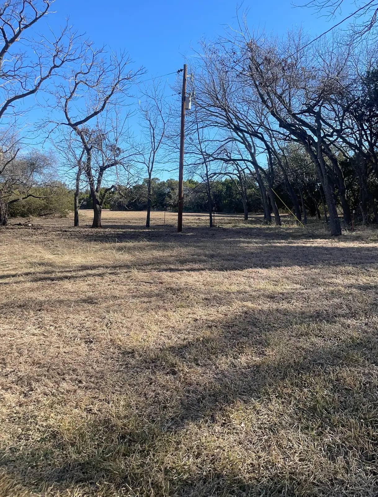 Forestry mulching results on a Granbury, TX lot: brush ground to open, walkable ground under the trees