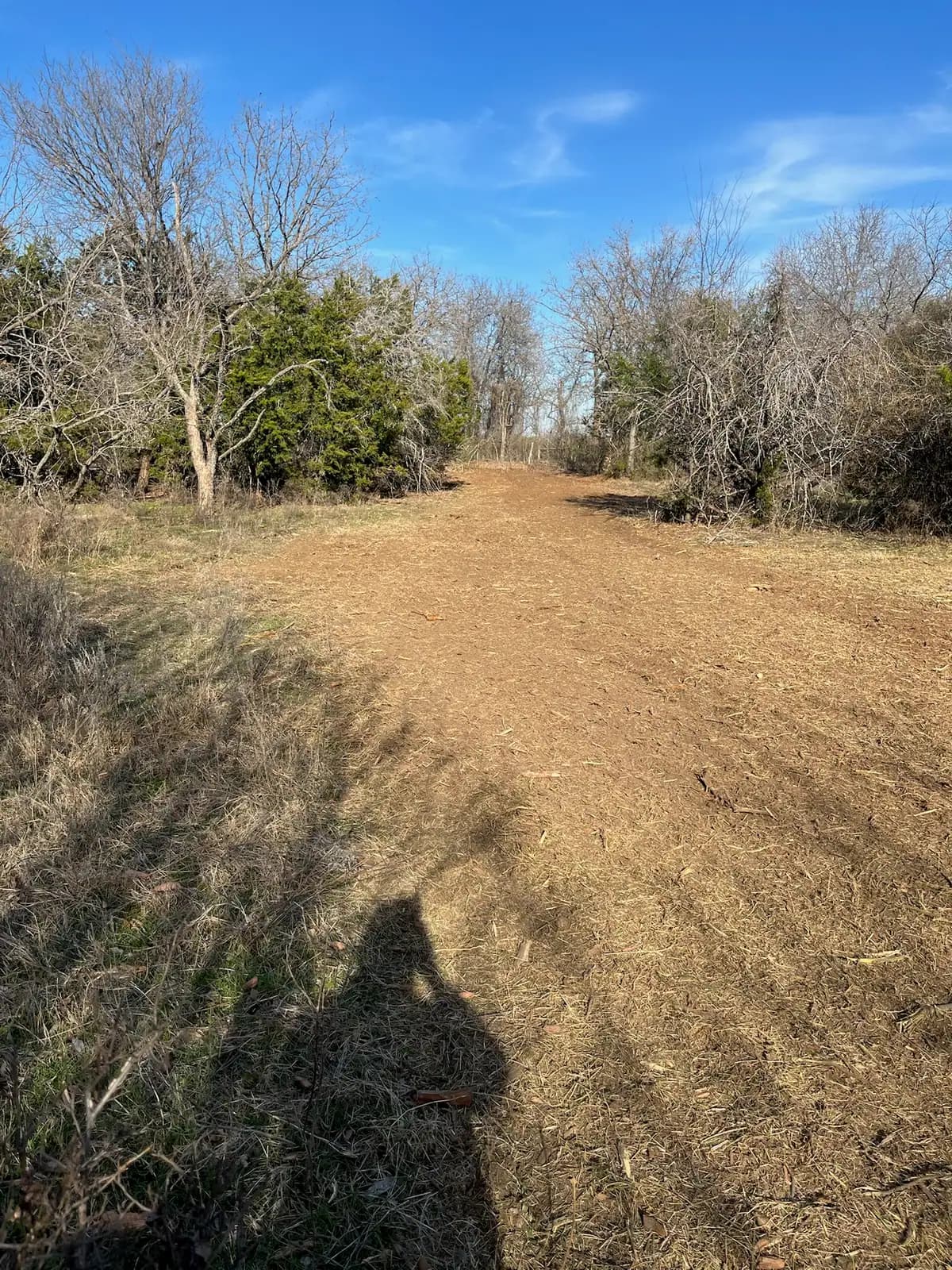 Trail cleared through the woods by forestry mulching near Granbury, TX