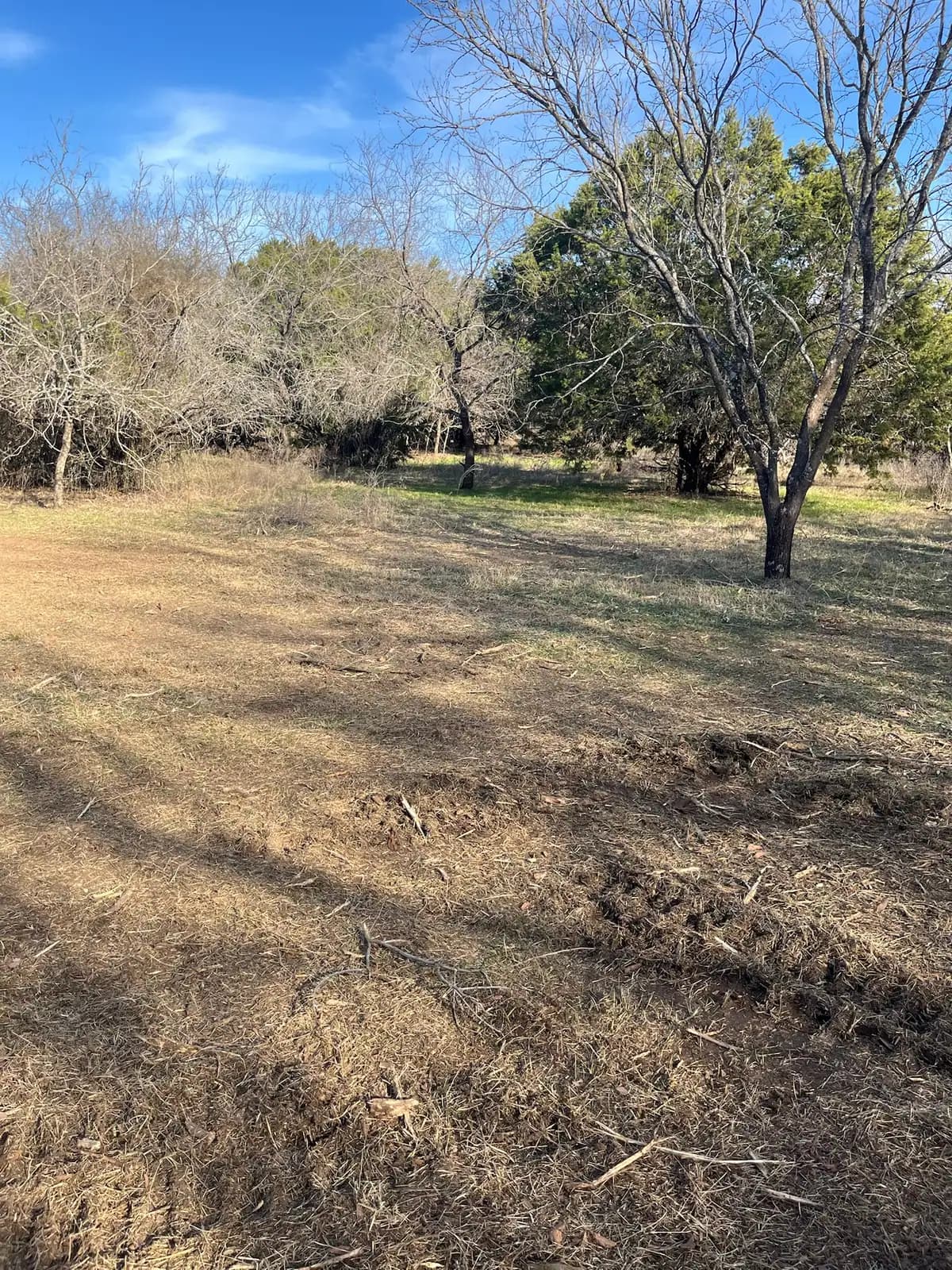 Trail cleared through the woods by forestry mulching near Granbury, TX