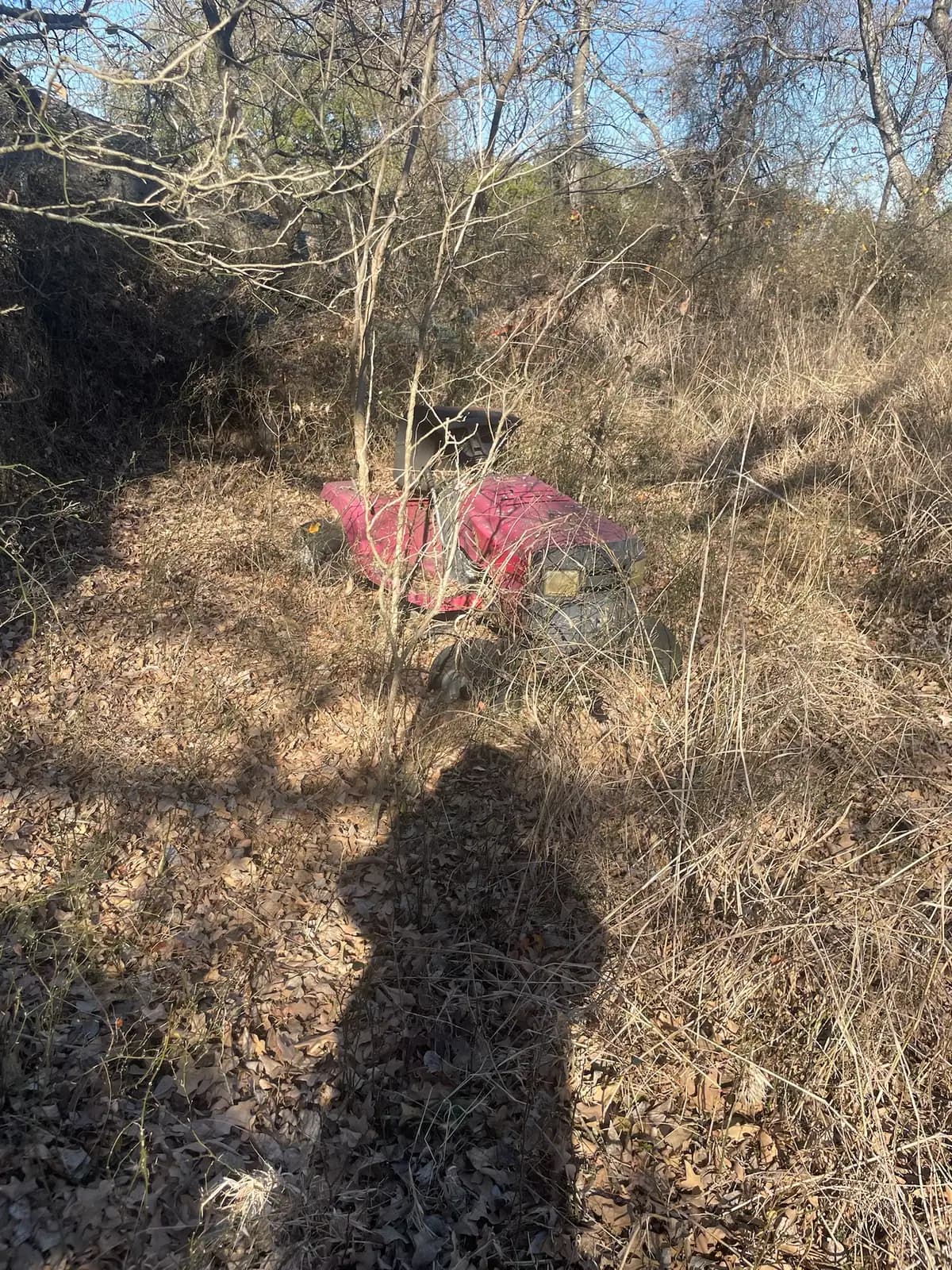 Dense cedar and brush before forestry mulching on a Hood County, TX property