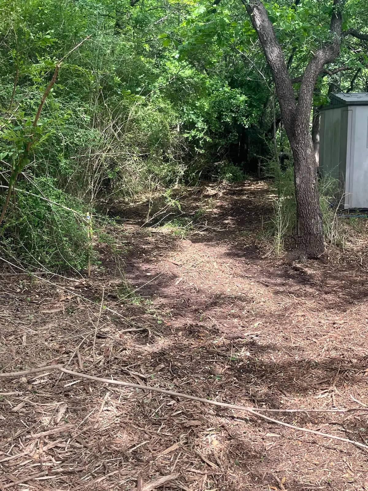 Summer forestry mulching results with fresh mulch on the ground in Hood County, TX