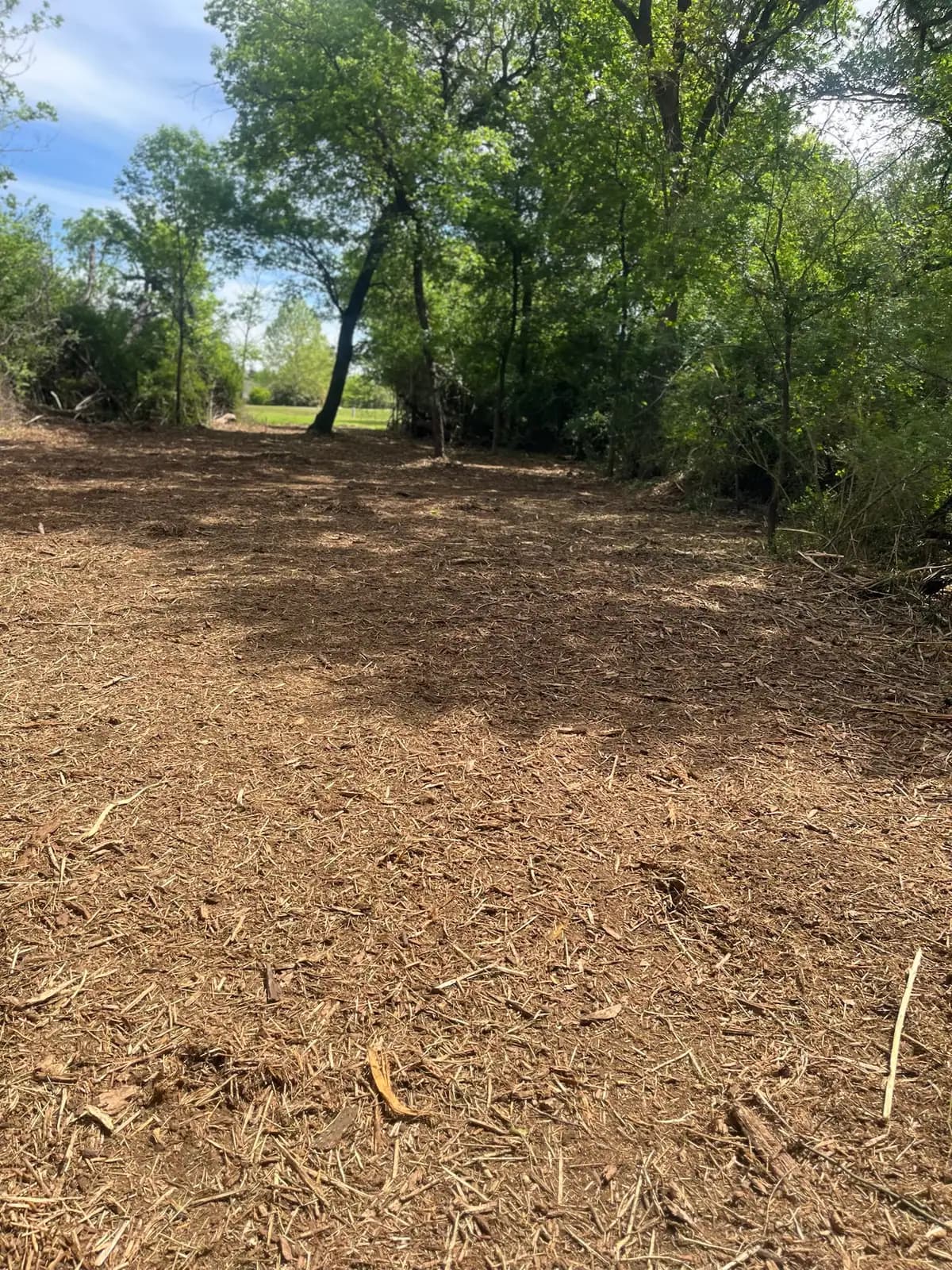 Summer forestry mulching results with fresh mulch on the ground in Hood County, TX