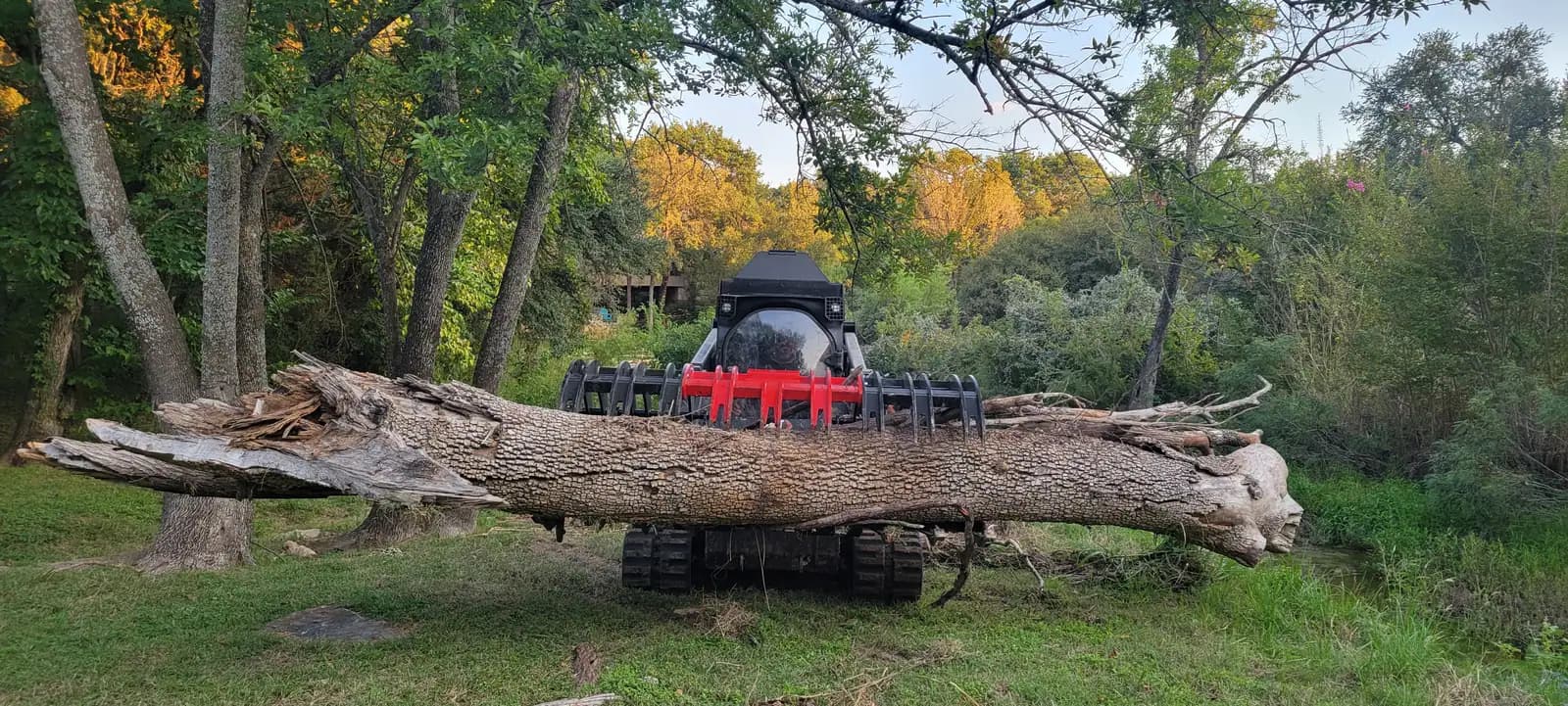 Forestry mulching crew's track loader moving a felled tree trunk with a grapple near Granbury, TX